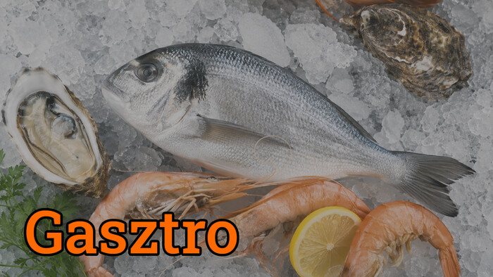 Gasztrorovat Luigival - Halak