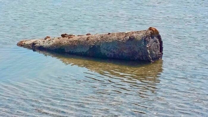 Les trésors révélés du Danube à sec