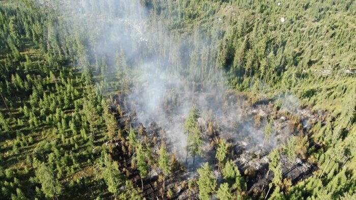 Incendie dans le parc national des Tatras