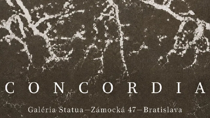 Výtvarníčka Andrea Čepiššáková prezentuje výstavu s názvom Concordia