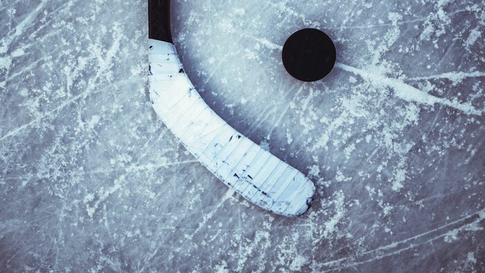 HOKEJ: Fanúšikovia sa už nevedia dočkať štartu NHL 