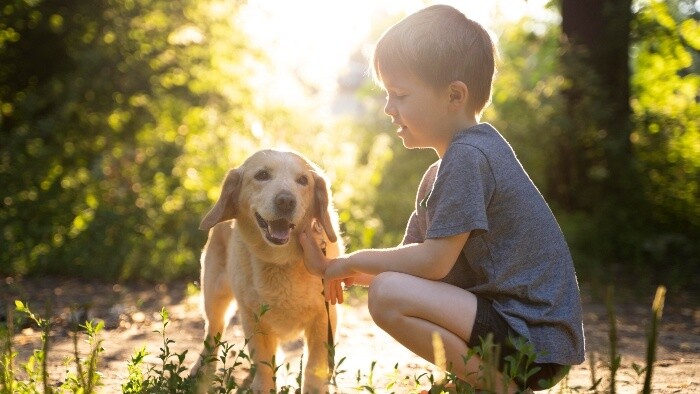 Psy milujú deti