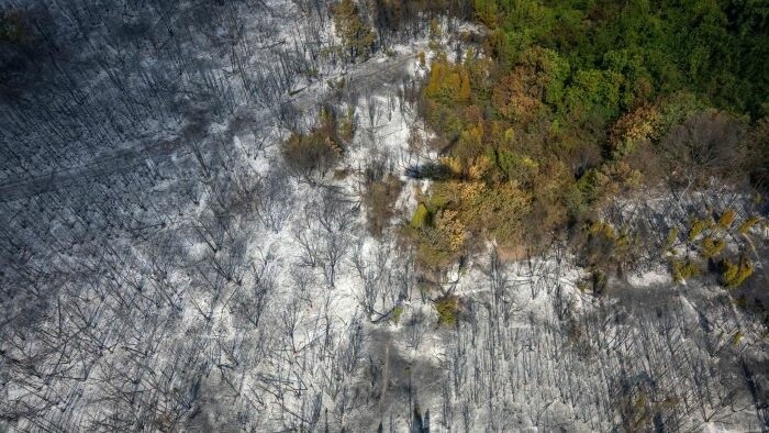 Les pompiers slovaques poursuivent leur intervention en Serbie