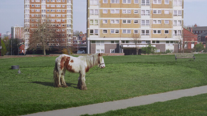 Album týždňa: Westside Cowboy - It Goes On