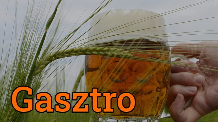 Gasztrorovat Luigival – Sör