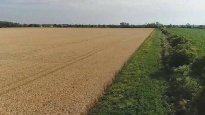 Tento rok vzniklo na Slovensku asi 7-tisíc kilometrov biopásov