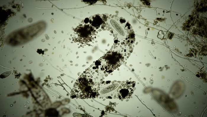 Screenshot showreel 2e.jpg