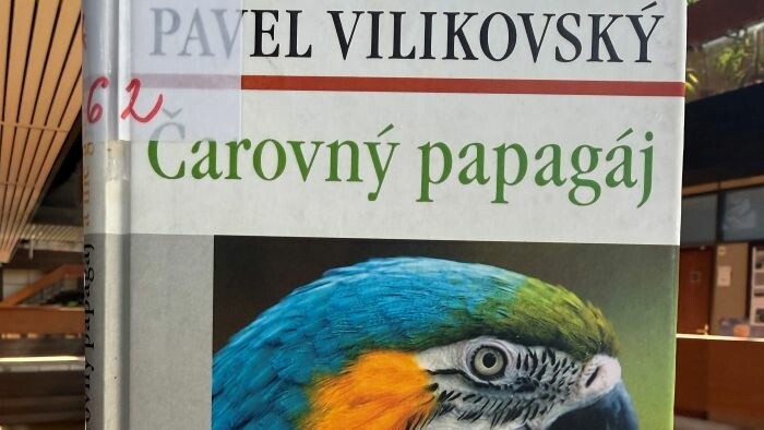 Letné čítanie s RSI: Čarovný papagáj a iné gýče