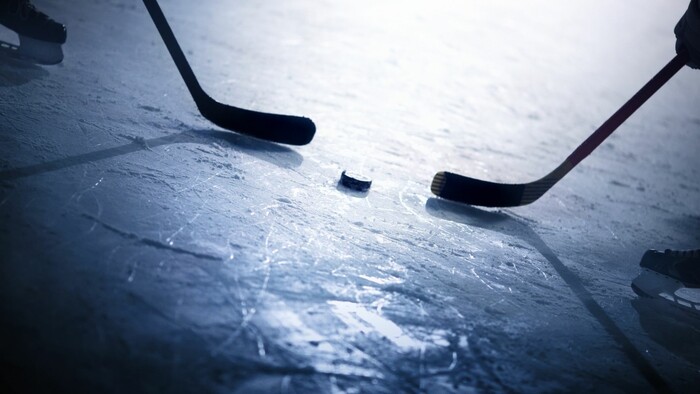 HOKEJ: Byť hráčom NHL je zamestnaním snov