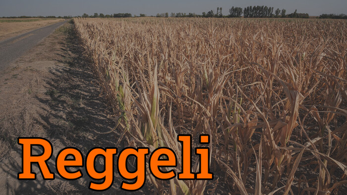 Aszály okozta károk kompenzálása: Mi vár a mezőgazdászokra?