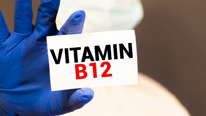 Spirulina so vstrebateľným vitamínom B12