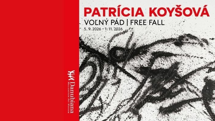 Výtvarníčka Patrícia Koyšová o nadchádzajúcej výstave Voľný pád