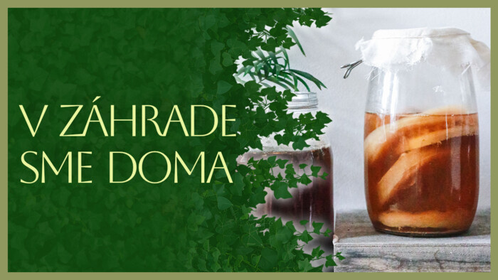 Spracovanie úrody kvasením | V záhrade sme doma