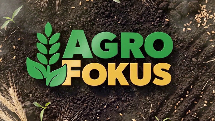 AgroFokus