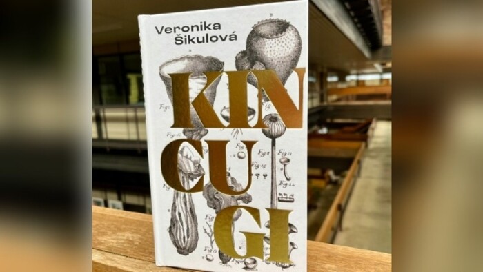 Veronika Šikulová: Kincugi