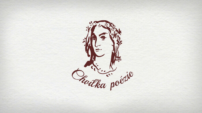 Chvíľka poézie (Peter Krištúfek)