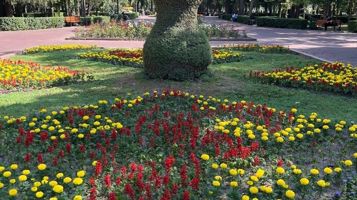 IMG_7655.jpg