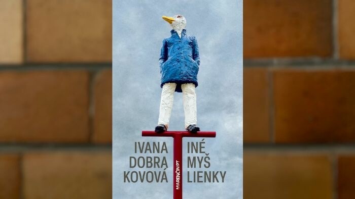 Literárna recenzia | Ivana Dobrakovová: Iné myšlienky