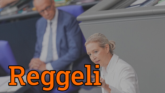 A német kormánypártok kétségbeesetten keresik a csodaszert az AfD megfékezésére