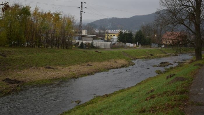 WWF Slovaquie : 12 loups abattus en Slovaquie