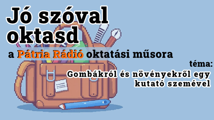 Jó szóval oktasd #37 