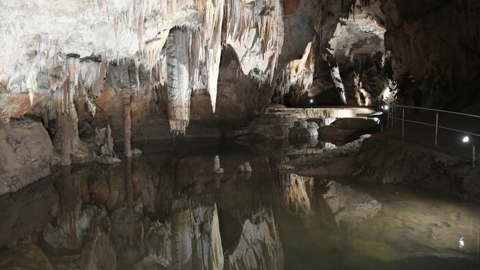 La grotte de Domica célèbre son centenaire 