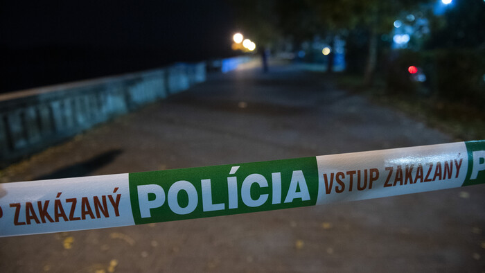 Sociálna kuratela