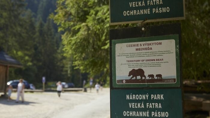 Diskutovali o efektívnom manažmente medveďa
