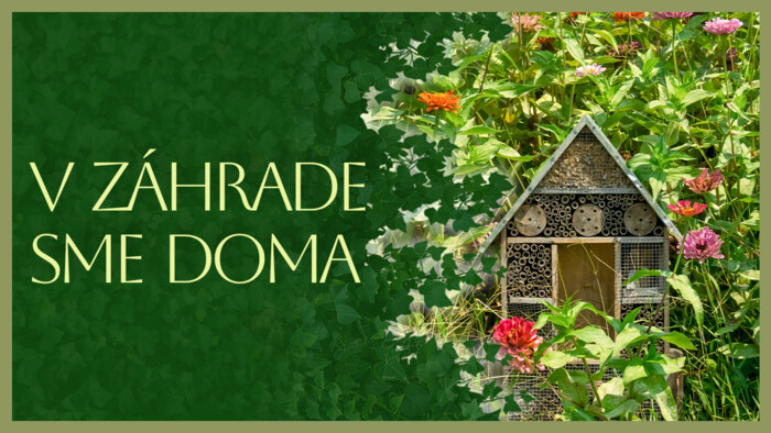 Hmyzie záhony v predzáhradkách na sídliskách | V záhrade sme doma
