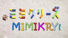 Mimikry