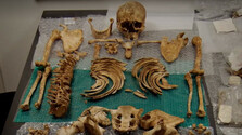 Stratená DNA