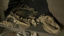 muzeum andreja kmeta 16x9.jpg