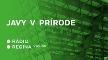 Javy v prírode