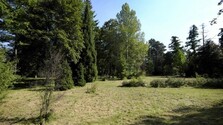 arboretum_LH.jpg