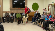 Žiarsky domov sociálnych služieb má nezvyčajných pomocníkov: Psy ľudom podávajú pomocnú ruku pri pohybe