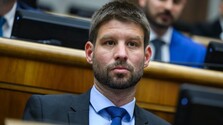 Prieskum AKO: Voľby by s jasným náskokom vyhralo PS, bez Matoviča by však koalíciu nezložilo