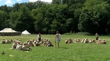 Letné tábory sú stále v ohrození: Pre zmeny, ktoré majú vstúpiť do platnosti, hrozí mnohým z nich zánik