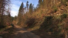 Cyklistov na Horehroní pobúril znečistený cyklochodník. Po výrube stromov zostal plný zvyškov, viditeľné sú aj praskliny