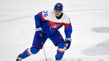 Slovensko na MS vo Švajčiarsku posilní ďalší útočník zo zámorskej NHL
