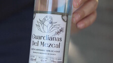 Ničí životné prostredie, ale ponúka ľuďom prácu. Tradičný mexický nápoj mezcal zažíva prudký nárast výroby