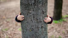 pexels-freestockpro-12955782.jpg
