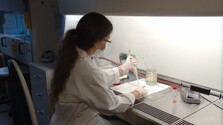 Riziko šírenia hantavírusov v Európe je nízke, tvrdia epidemiológovia. Na Slovensku nemajú vhodné podmienky