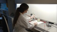 Riziko šírenia hantavírusov v Európe je nízke, tvrdia epidemiológovia. Na Slovensku nemajú vhodné podmienky