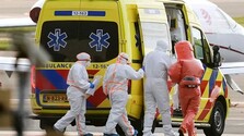 Virológ Klempa a infektológ Sabaka o hantavíruse: Kmeň Andes je nebezpečný, od koronavírusu sa však zásadne líši