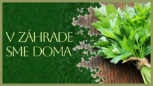 VZahradeSmeDoma_260515.png