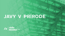 Javy v prírode