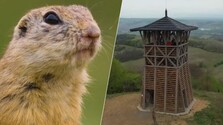 Od rozhľadne cez sysľovisko až do Jesenského: Gemer ponúka živé aj neživé zaujímavosti