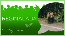 Reginalada_260603.png