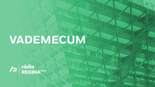 Vademecum