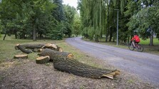 Dlho očakávaný dážď na Zemplíne ľudí potešil, supercela v Prešove narobila škody